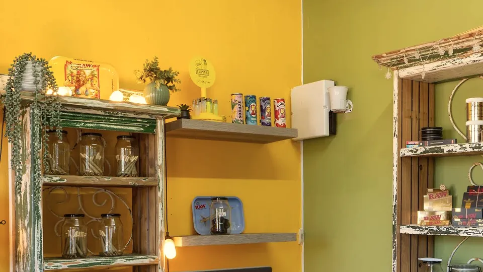 Counter shelving against green and yellow walls